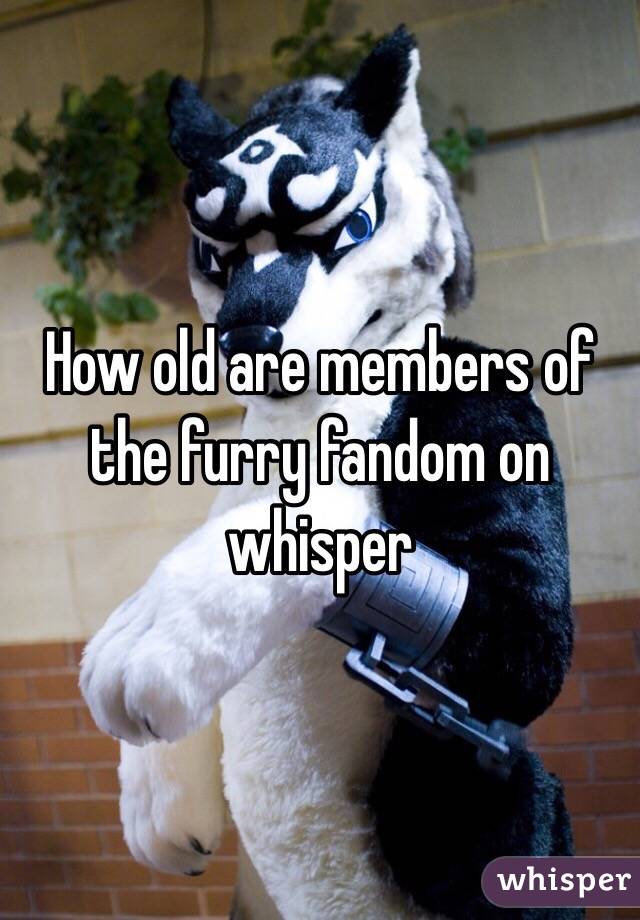 How old are members of the furry fandom on whisper 