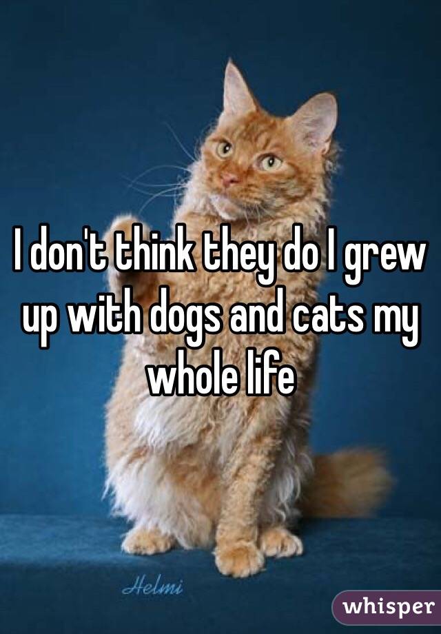 I don't think they do I grew up with dogs and cats my whole life