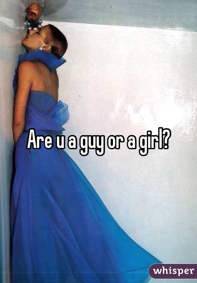 Are u a guy or a girl?
