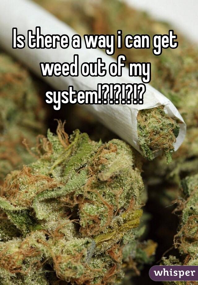 Is there a way i can get weed out of my system!?!?!?!?
