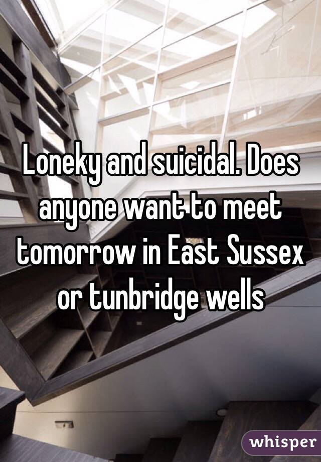 Loneky and suicidal. Does anyone want to meet tomorrow in East Sussex or tunbridge wells