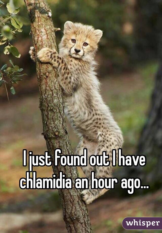 I just found out I have chlamidia an hour ago...