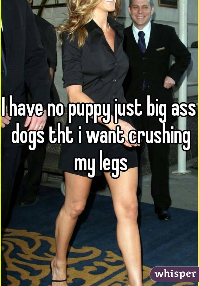 I have no puppy just big ass dogs tht i want crushing my legs