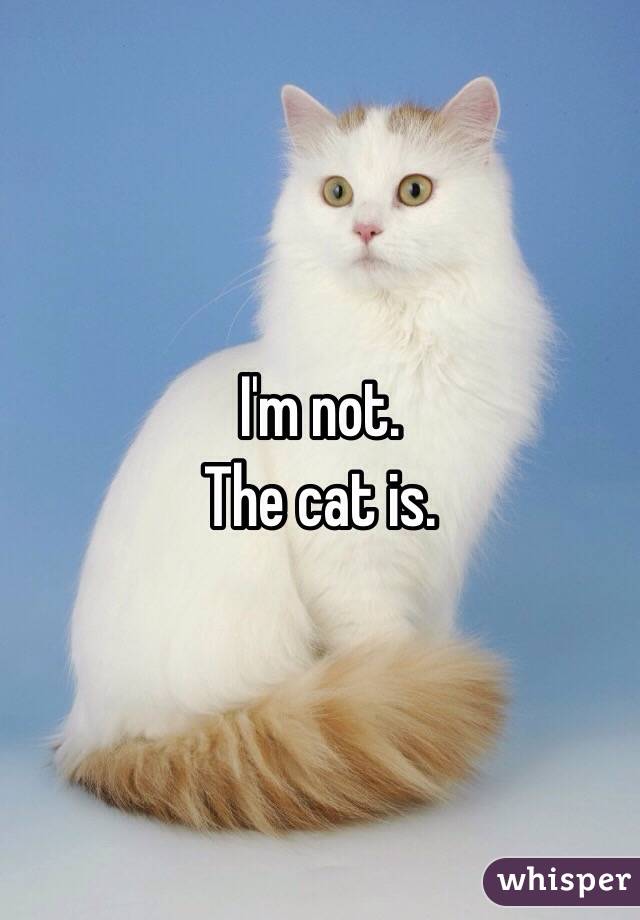 I'm not. 
The cat is. 