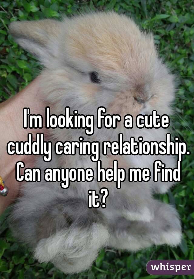 I'm looking for a cute cuddly caring relationship. Can anyone help me find it?