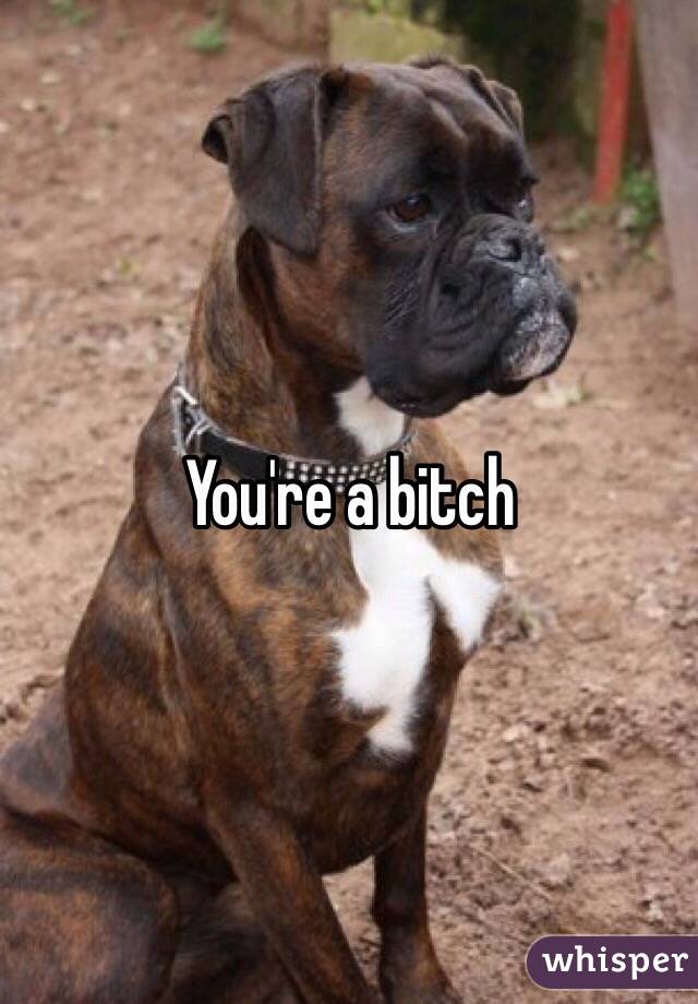 You're a bitch 