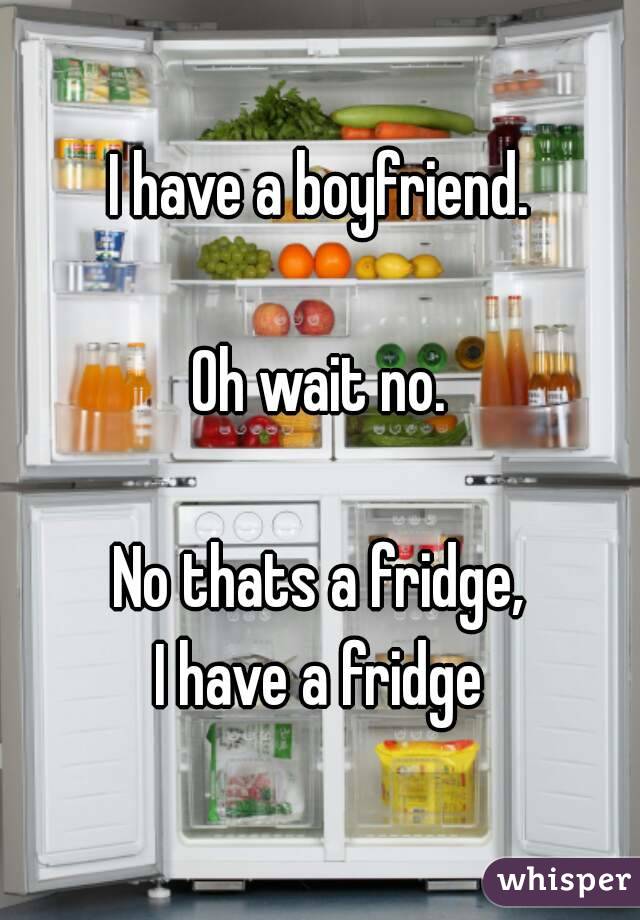 I have a boyfriend.

Oh wait no.

No thats a fridge,
I have a fridge