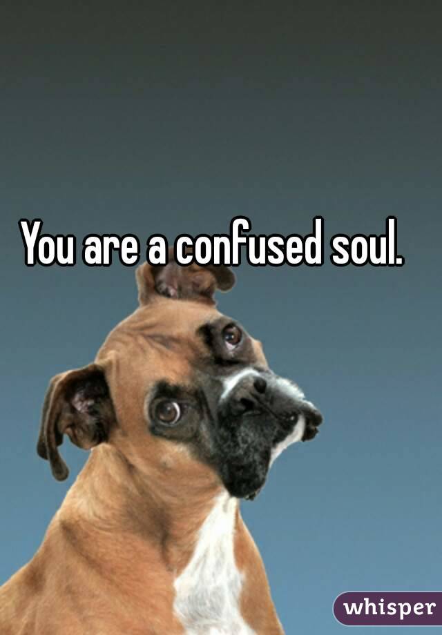 You are a confused soul.