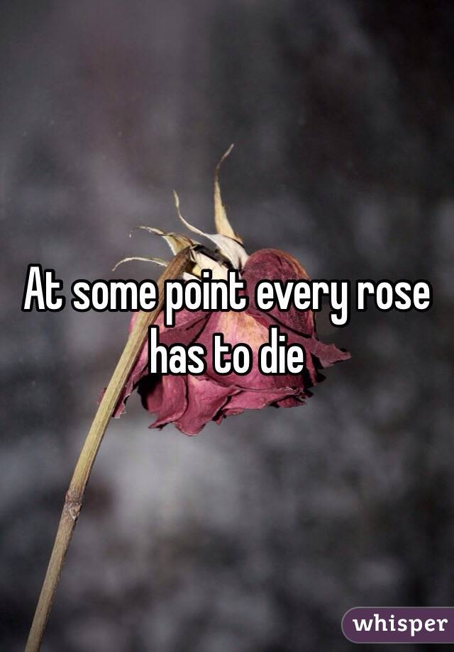 At some point every rose has to die