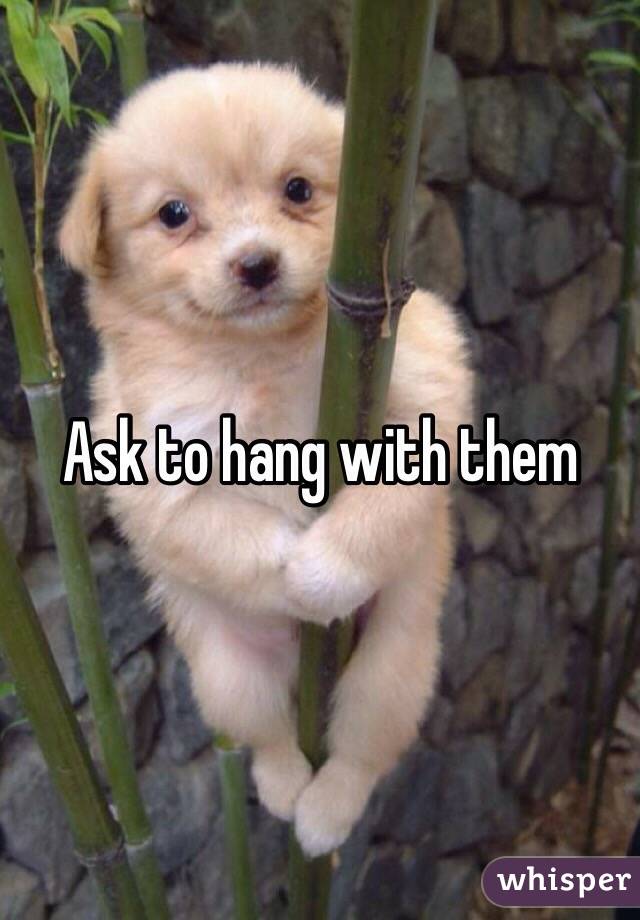 Ask to hang with them 