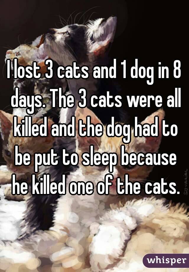 I lost 3 cats and 1 dog in 8 days. The 3 cats were all killed and the dog had to be put to sleep because he killed one of the cats.