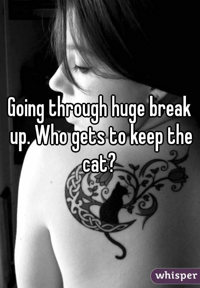 Going through huge break up. Who gets to keep the cat? 
