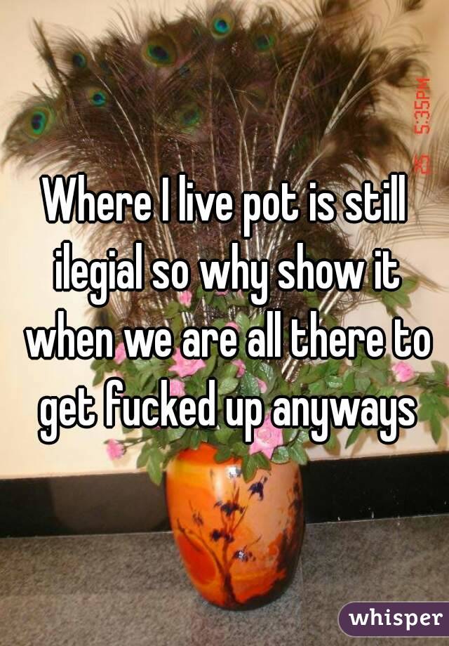 Where I live pot is still ilegial so why show it when we are all there to get fucked up anyways