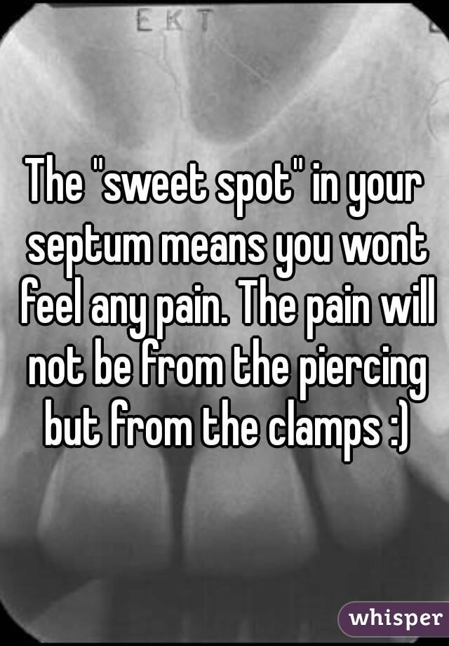 The "sweet spot" in your septum means you wont feel any pain. The pain will not be from the piercing but from the clamps :)