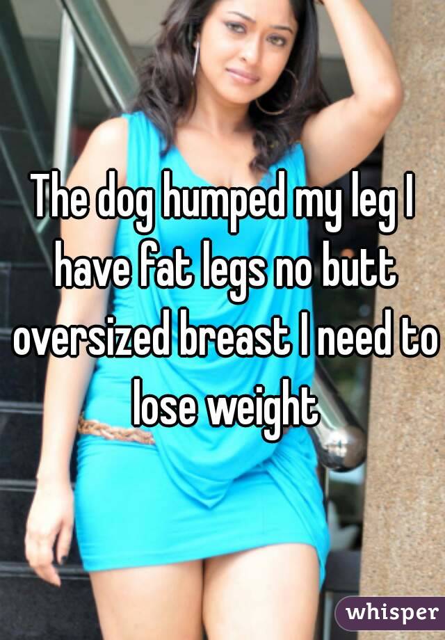 The dog humped my leg I have fat legs no butt oversized breast I need to lose weight