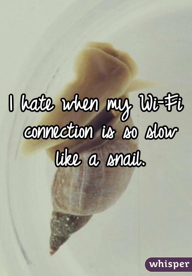 I hate when my Wi-Fi connection is so slow like a snail.