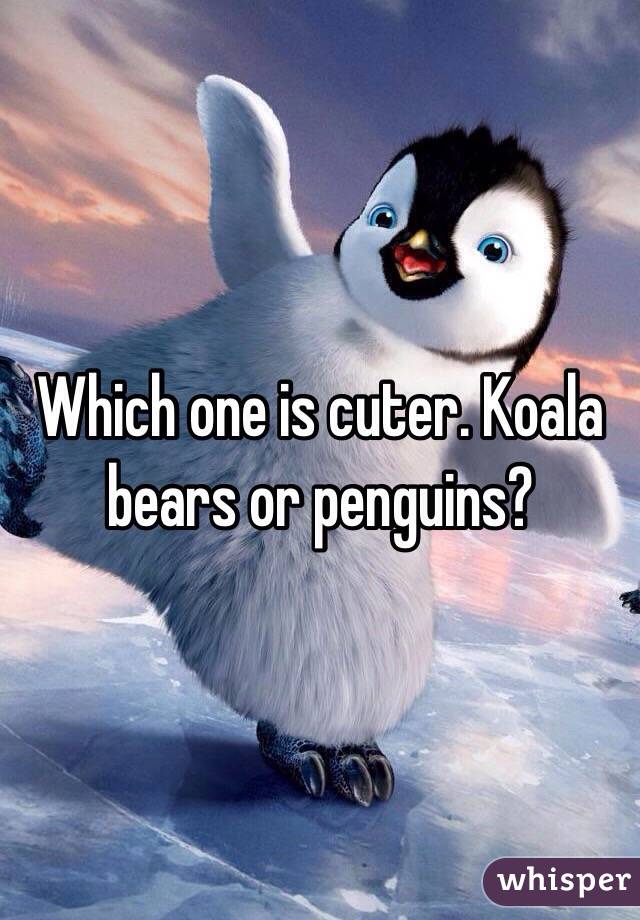 Which one is cuter. Koala bears or penguins?