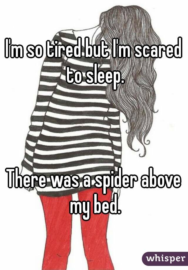 I'm so tired but I'm scared to sleep.



There was a spider above my bed.