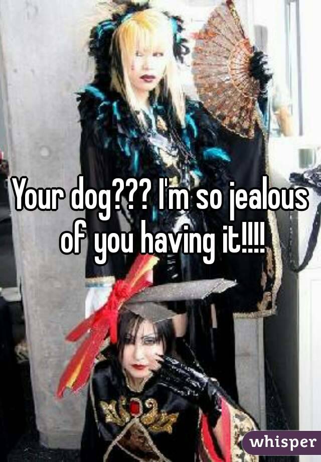 Your dog??? I'm so jealous of you having it!!!!