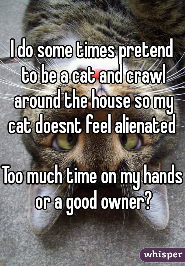 I do some times pretend to be a cat and crawl around the house so my cat doesnt feel alienated 

Too much time on my hands or a good owner?