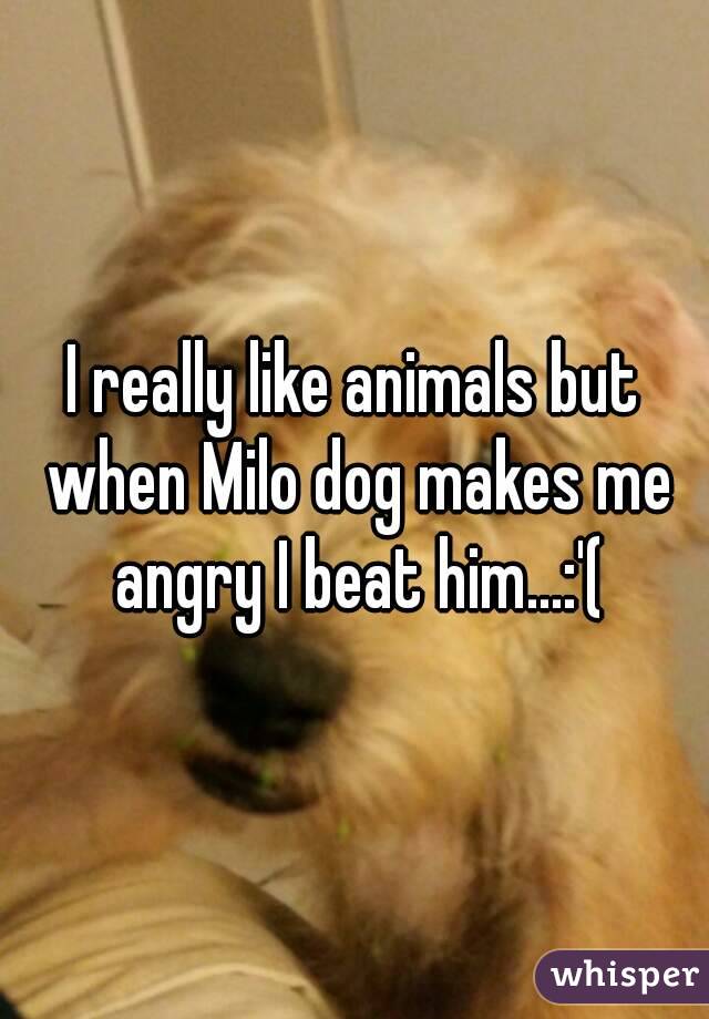 I really like animals but when Milo dog makes me angry I beat him...:'(
