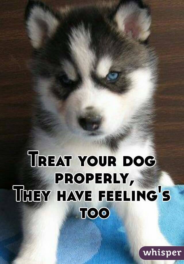 Treat your dog properly,
They have feeling's too