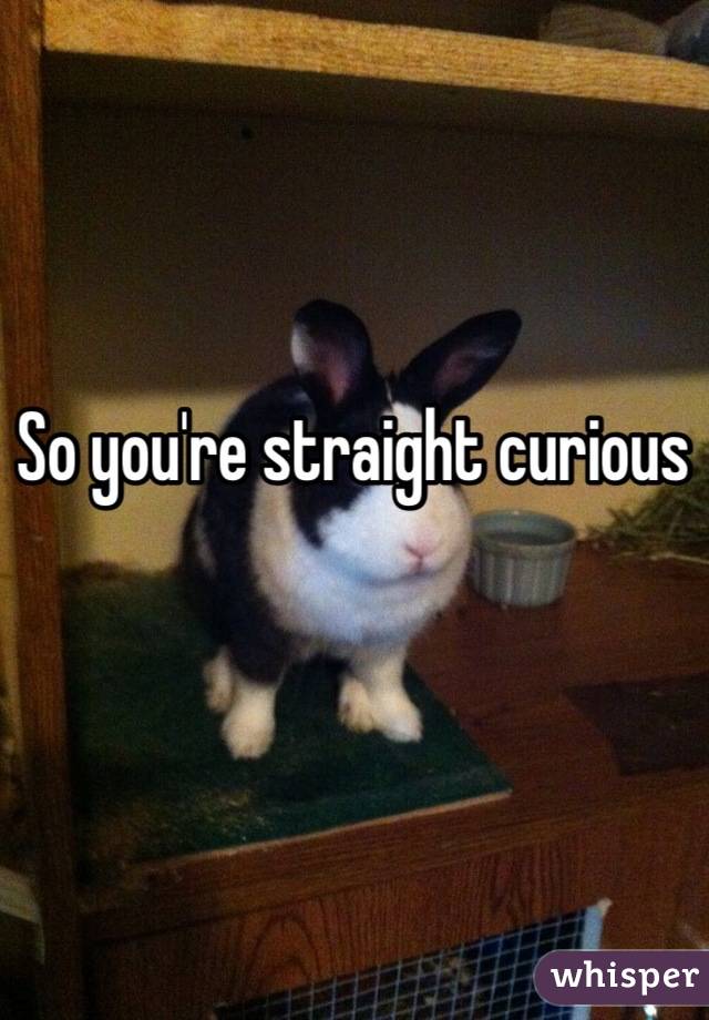 So you're straight curious