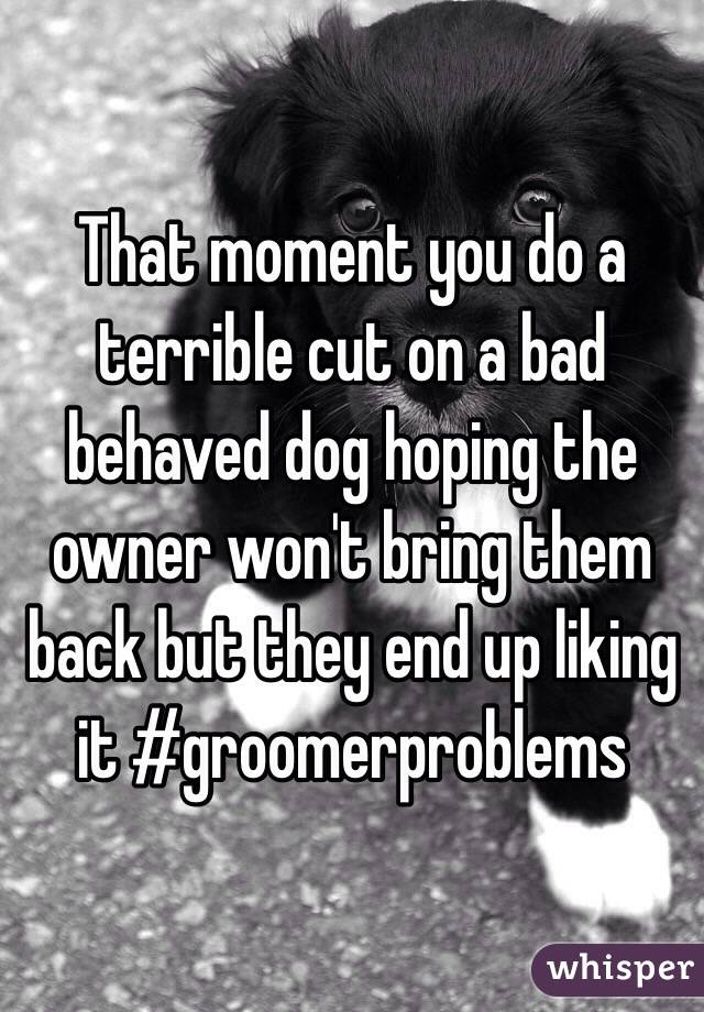 That moment you do a terrible cut on a bad behaved dog hoping the owner won't bring them back but they end up liking it #groomerproblems