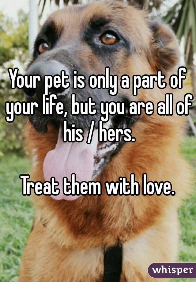 Your pet is only a part of your life, but you are all of his / hers.

Treat them with love.