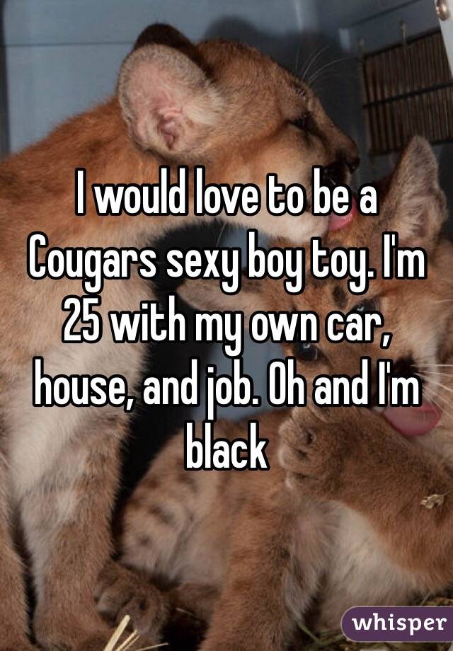 I would love to be a Cougars sexy boy toy. I'm 25 with my own car, house, and job. Oh and I'm black 