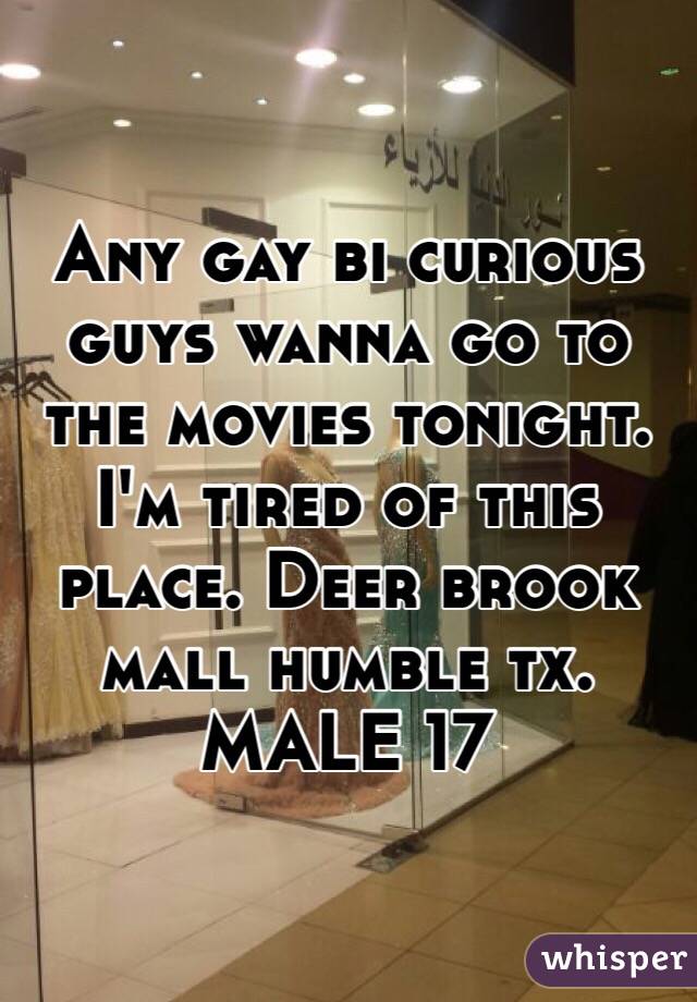 Any gay bi curious guys wanna go to the movies tonight. I'm tired of this place. Deer brook mall humble tx. MALE 17