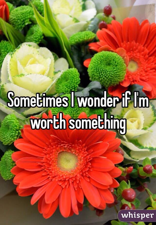 Sometimes I wonder if I'm worth something 
