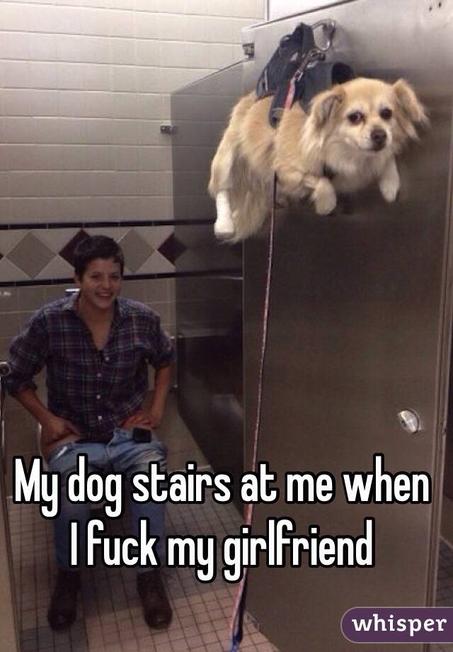 My dog stairs at me when I fuck my girlfriend 