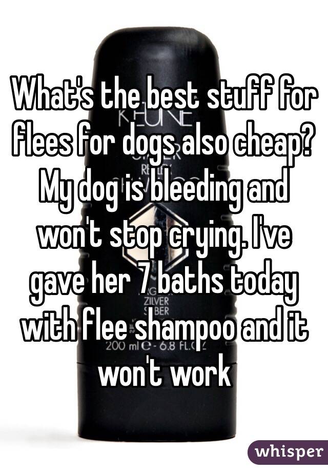 What's the best stuff for flees for dogs also cheap? My dog is bleeding and won't stop crying. I've gave her 7 baths today with flee shampoo and it won't work 