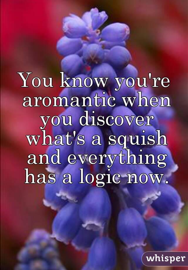 You know you're aromantic when you discover what's a squish and everything has a logic now.