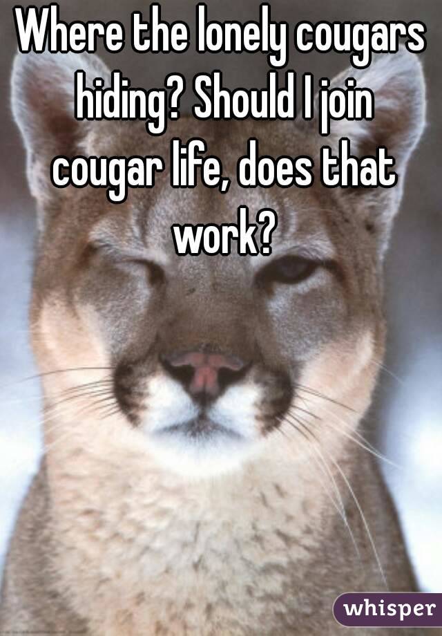 Where the lonely cougars hiding? Should I join cougar life, does that work?