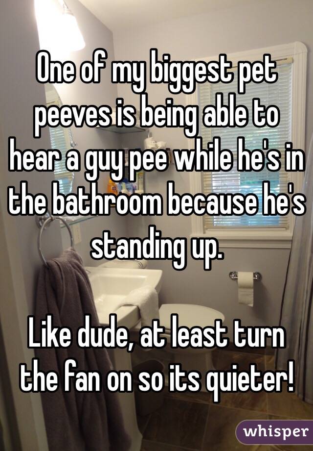 One of my biggest pet peeves is being able to hear a guy pee while he's in the bathroom because he's standing up. 

Like dude, at least turn the fan on so its quieter!