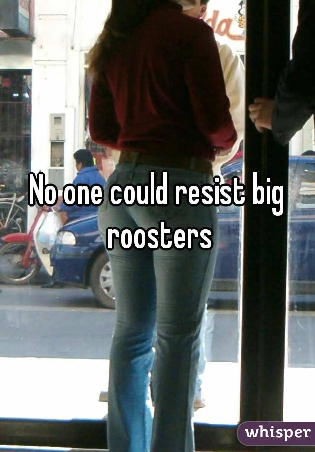 No one could resist big roosters