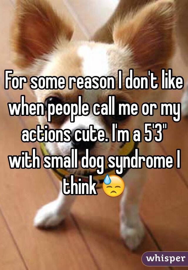 For some reason I don't like when people call me or my actions cute. I'm a 5'3" with small dog syndrome I think 😓
