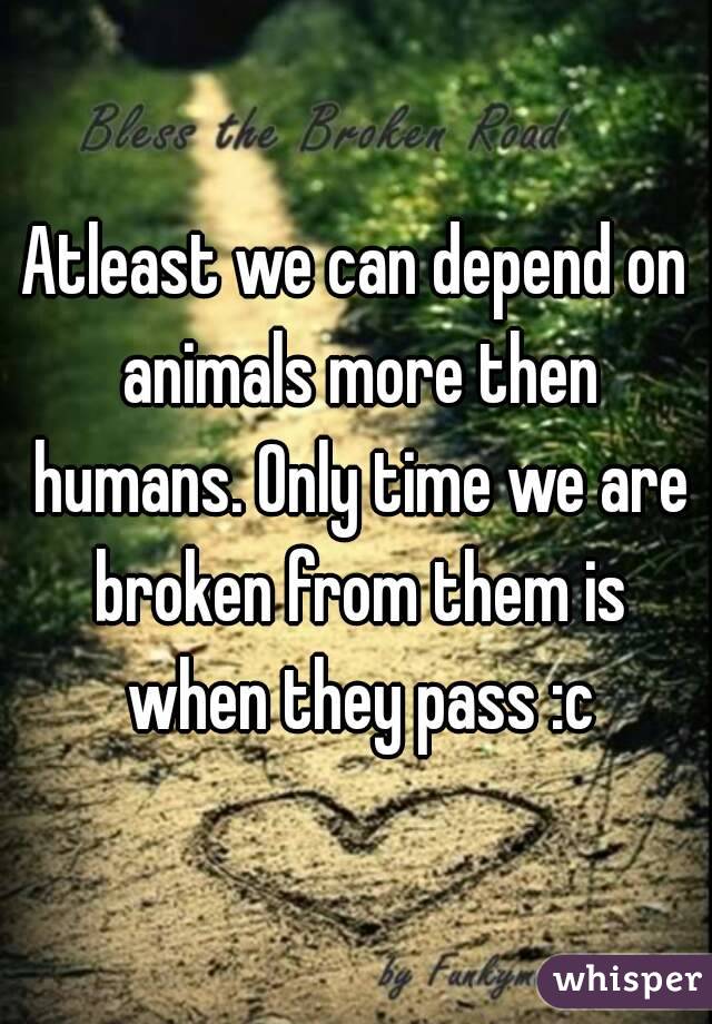 Atleast we can depend on animals more then humans. Only time we are broken from them is when they pass :c