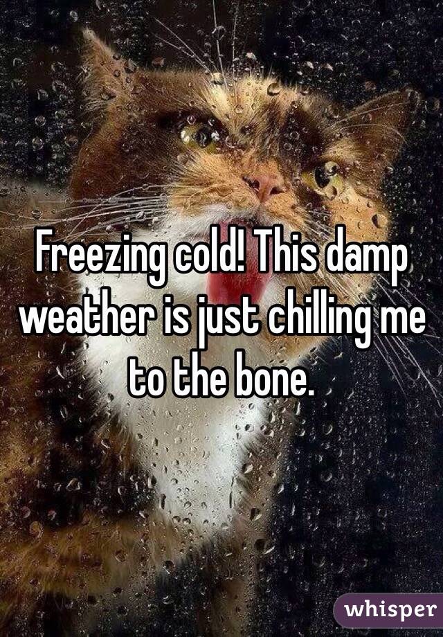Freezing cold! This damp weather is just chilling me to the bone.