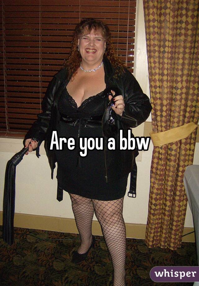 Are you a bbw 
