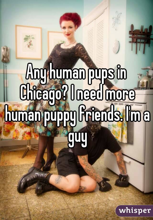 Any human pups in Chicago? I need more human puppy friends. I'm a guy