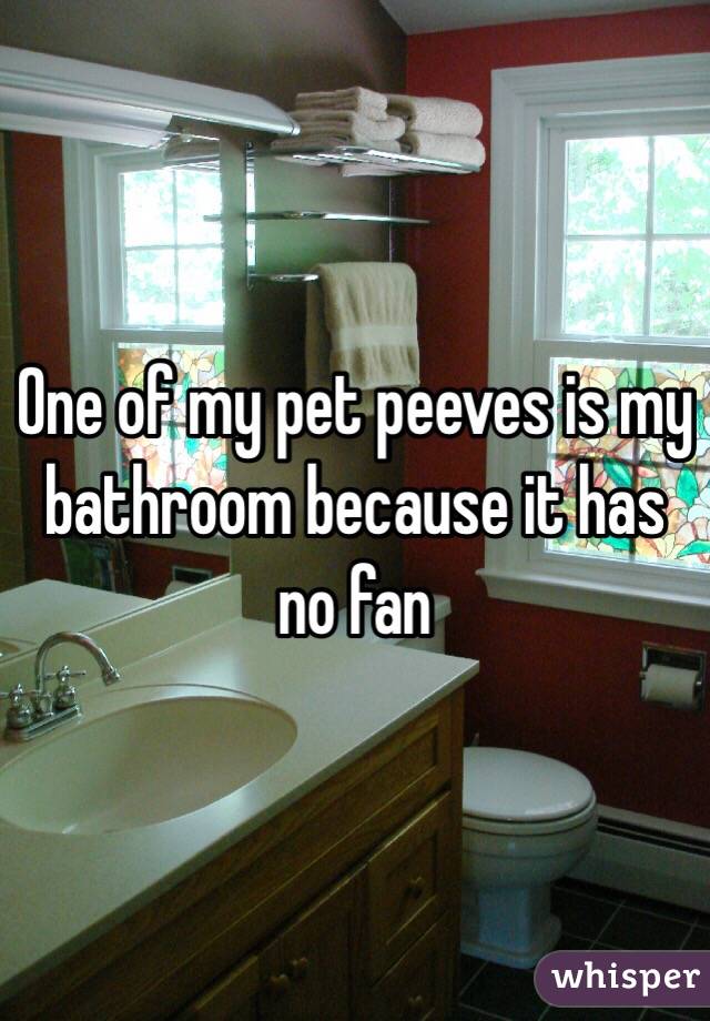 One of my pet peeves is my bathroom because it has no fan