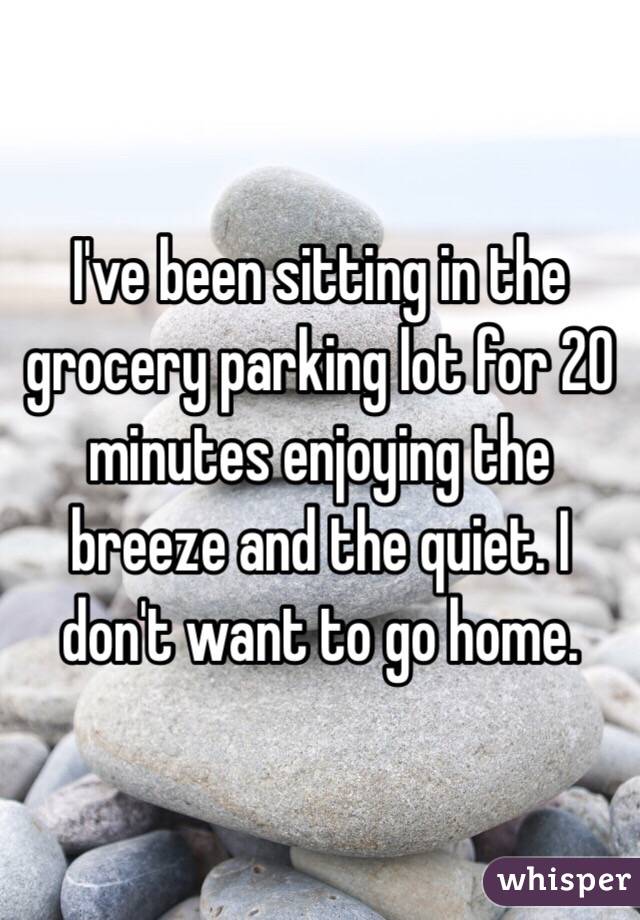 I've been sitting in the grocery parking lot for 20 minutes enjoying the breeze and the quiet. I don't want to go home. 