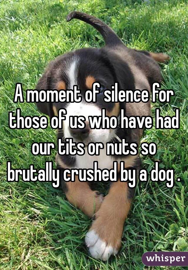 A moment of silence for those of us who have had our tits or nuts so brutally crushed by a dog .