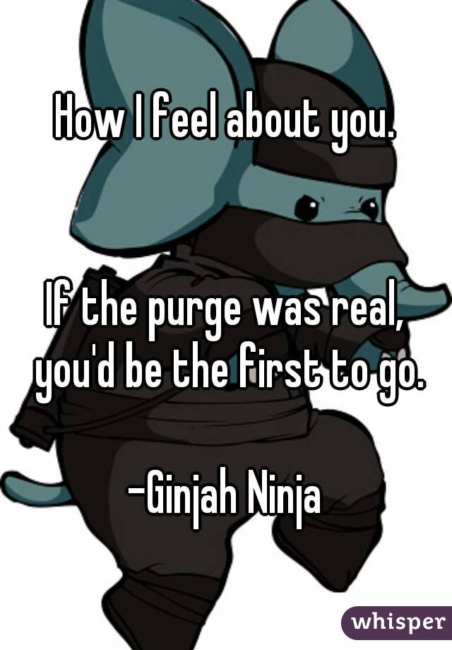 How I feel about you.


If the purge was real, you'd be the first to go.

-Ginjah Ninja