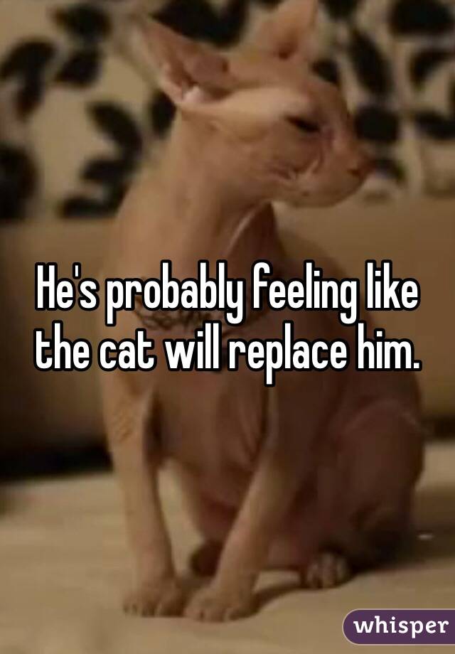 He's probably feeling like the cat will replace him. 