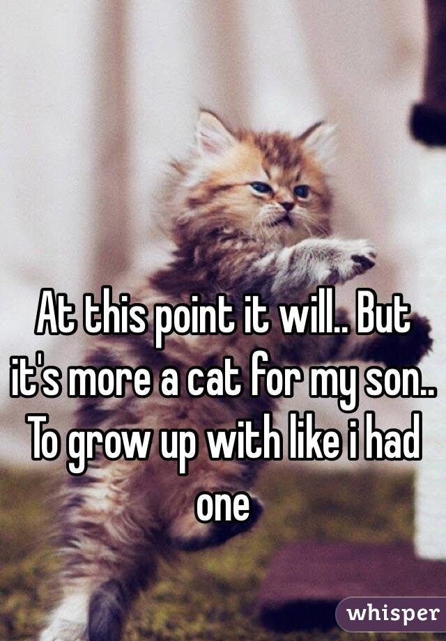 At this point it will.. But it's more a cat for my son.. To grow up with like i had one 