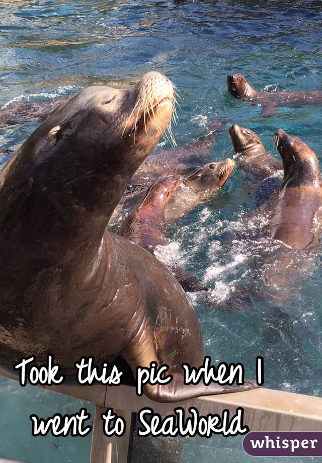 Took this pic when I went to SeaWorld